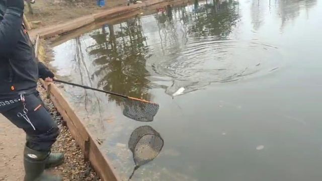 WhatsApp Video 2025-03-26 at 10.10.19 смотреть онлайн