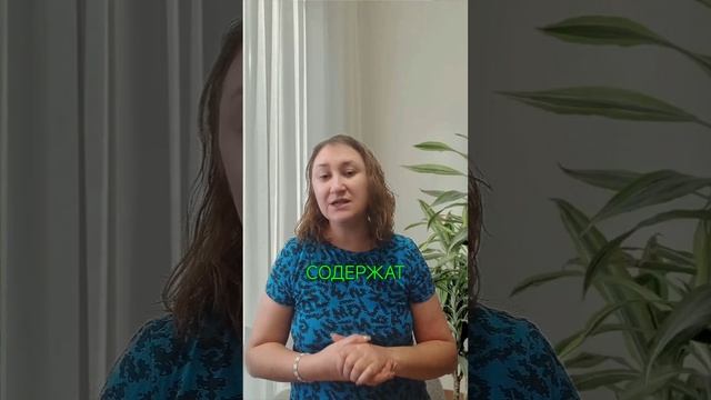 Хумус и лишний вес