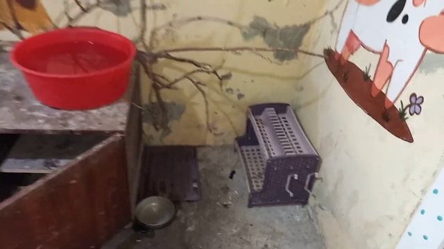 Деревенская жизнь 🏡 | "Мир сказок" | Idea by N. Esrari. смотреть онлайн