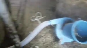 Зернодробилка Миг600 с сенорезкой