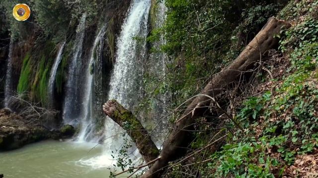 Сборник песен.