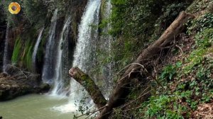 Сборник песен.