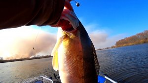 Открытие сезона по СПИННИНГУ 2025! Ловля СУДАКА в марте! Рыбалка на спиннинг!