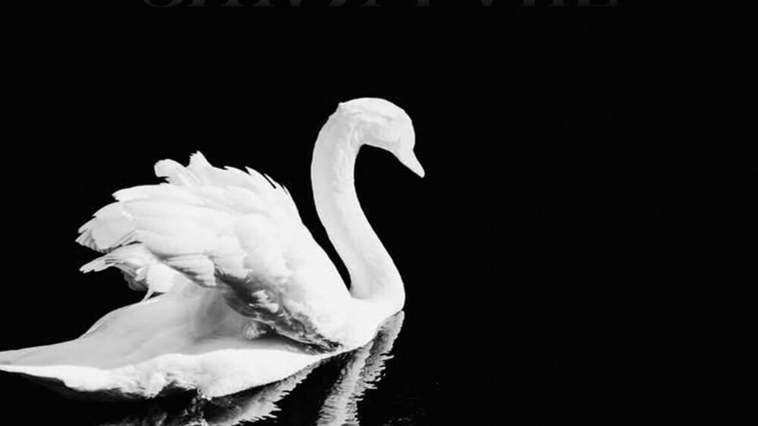 Swan Lake - Spivakovski смотреть онлайн