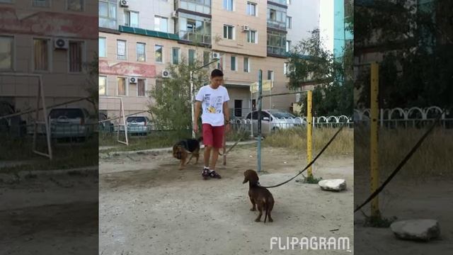 Любимый мордор смотреть онлайн
