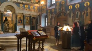 Н. Данилин - Плотию уснув