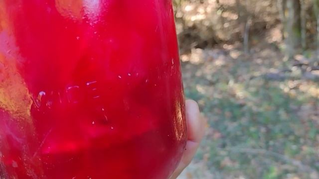 Escambia Lakes Roselle (hibiscus sabdariffa) iced tea смотреть онлайн