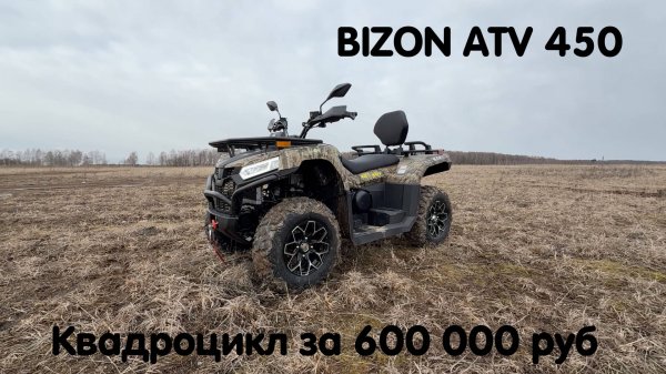 BIZON ATV 450. Доступный, хороший квадроцикл за 600 000 рублей.