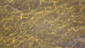 Золото осени/Белоярское водохранилище