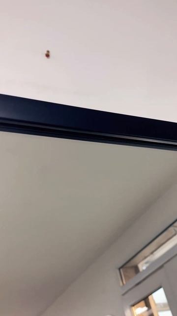 45. Зеркало в черном багете , напольное. 60*160 смотреть онлайн