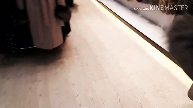 НАРХИ ШУБАЮ ПАЛЬТО ДАР ТОЧИКИСТОН. смотреть онлайн