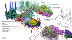 1. Формирование цветников из цветов - многолетников. 1 часть. Грядки на солнце