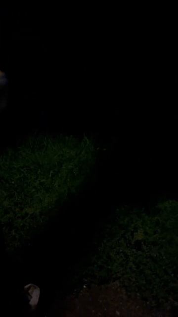 Lit Energy Mango Coconut #литвин #обзорэнергетиков #энергетик #litvin #litenergy смотреть онлайн