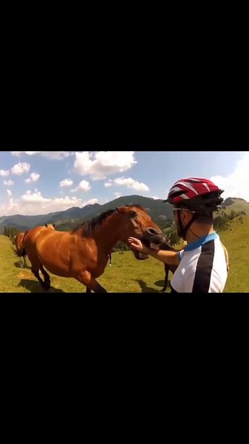 scene_output.mp4 смотреть онлайн