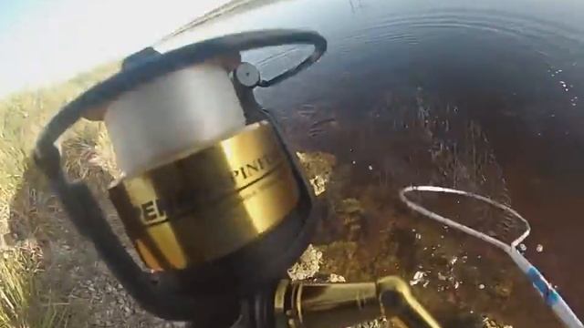 Tarpon Fishing Game Over 8/10/15 смотреть онлайн