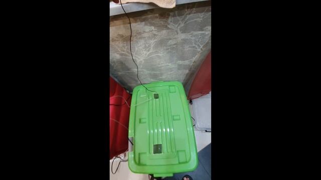 Карантин вновь прибывшего дискуса в деталях. Часть 1 смотреть онлайн