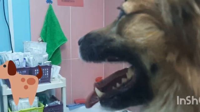 Процедуры день четвёртый смотреть онлайн