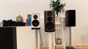 ELAC Vela 403.2 🖤 Wharfedale Evo 4.2 🖤 COMPARISON