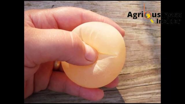 TREAT PARALYSIS | EGG & LEG DEFORMITIES Using These ORGANIC MINERAL SUPPLEMENTS смотреть онлайн