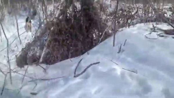 В лесу увидели сектанта