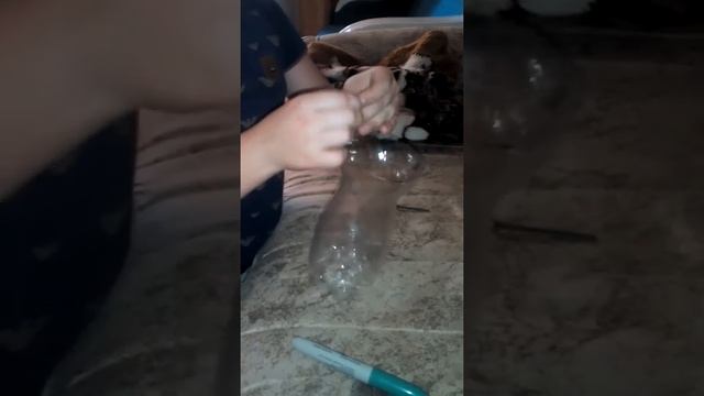 Самодельный отсадник для рыбок. смотреть онлайн