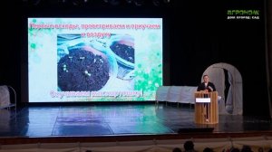 Петунья от посева до цветения за 28 дней| Мастер-класс Бориса Борисова