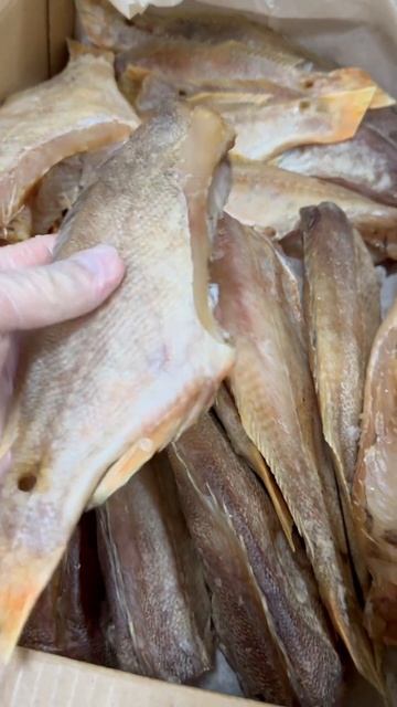 Прямиком из Мурманска 🔥🐟 #азбукасевера