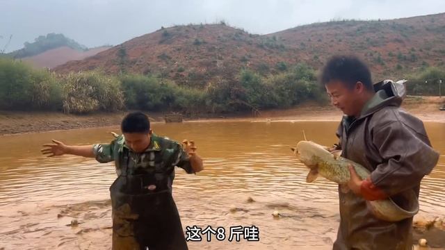 2年没干的鱼塘，今天开始拉网抓鱼，没想到藏了这么多值钱货 смотреть онлайн