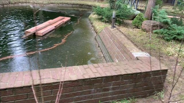 Новости с пруда.Сливать,или не сливать,вот в чем вопрос. смотреть онлайн