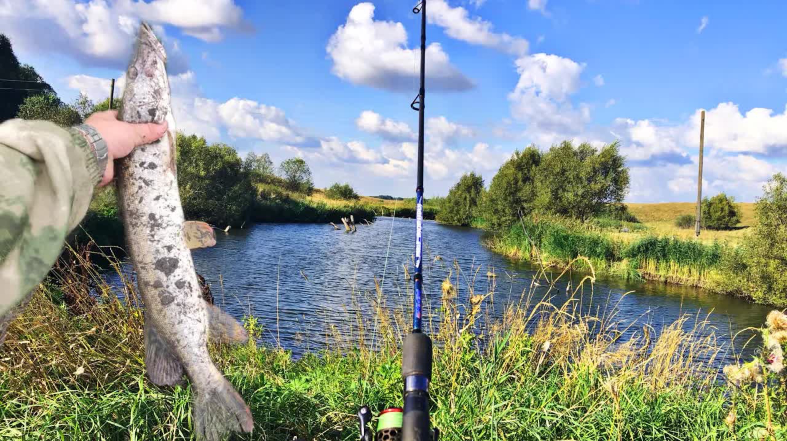 РЫБАЛКА В ЗАКОРЯЖЕННОЙ ДЕРЕВЕНСКОЙ РЕЧКЕ!!Какая РЫБА там КЛЮЕТ… смотреть онлайн