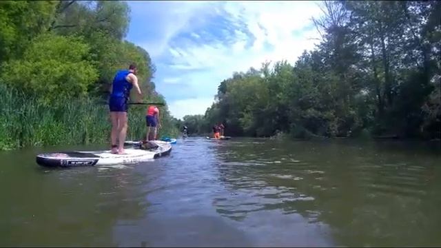 2023 06 25 Оскол цапля ласточка смотреть онлайн