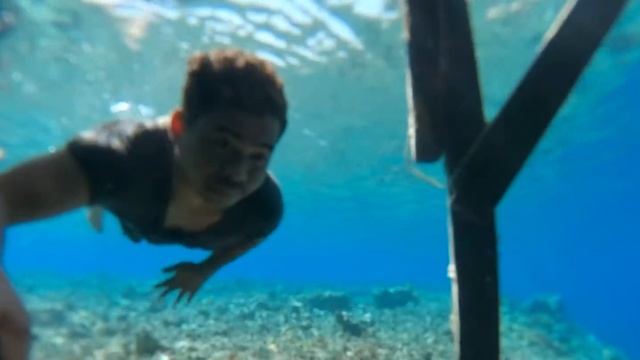 Labuan Bajo Local Camp ! смотреть онлайн