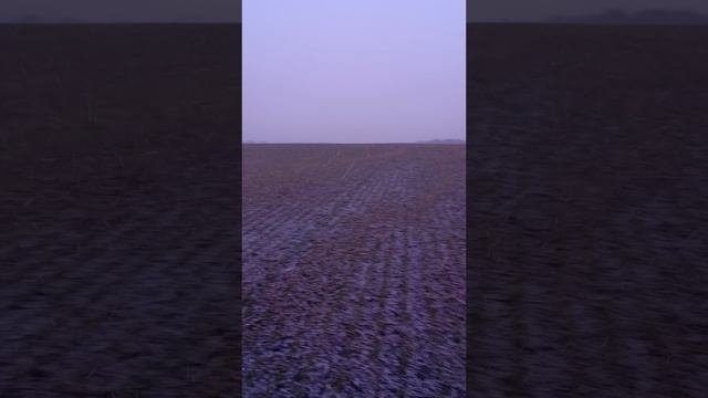 23 марта 2025 года