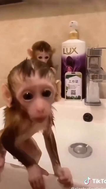 4 August 2024 смотреть онлайн