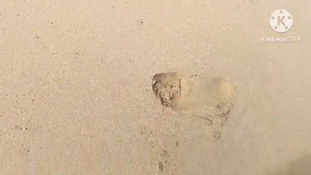 Playa Caribe. Isla de Margarita. Venezuela смотреть онлайн