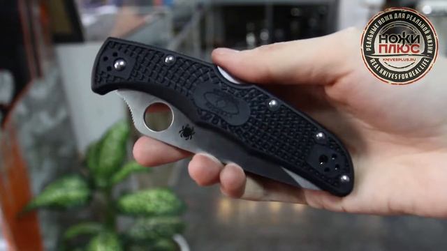 Spydrco Endura 10pbk смотреть онлайн