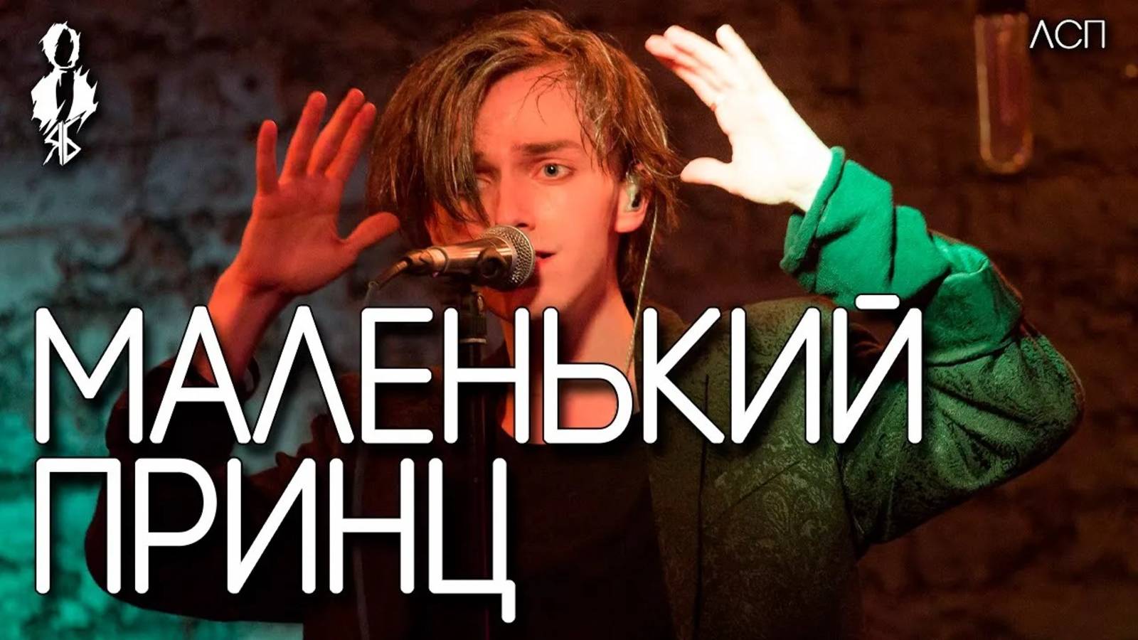 Ярослав Баярунас - Маленький принц (cover «ЛСП»)