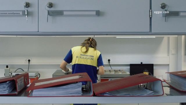 ЭГГЕР в России