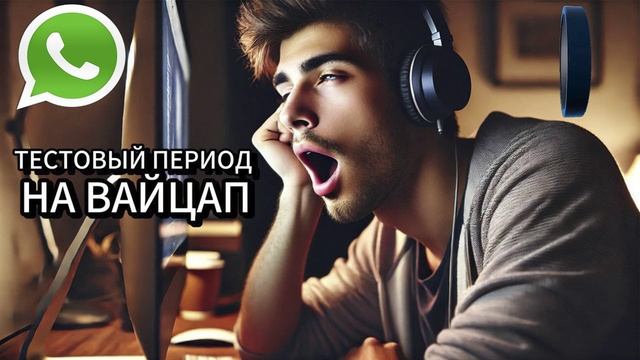 Тестовый период на вайцапе смотреть онлайн