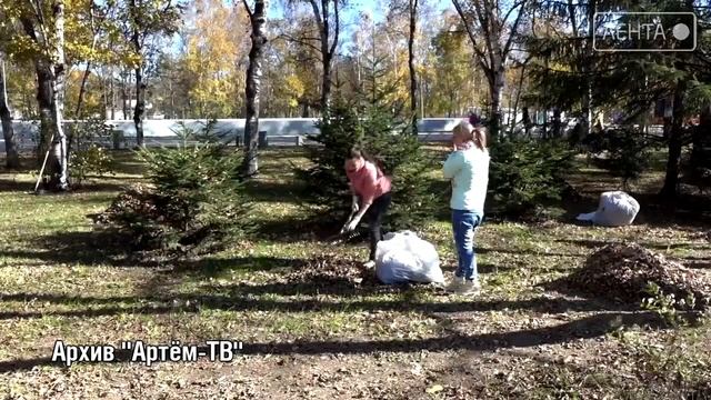 Всероссийский городской субботник пройдет в Артёме 24 апреля