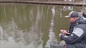 Блесна Pal 2,5 и "Банан" показывают лучший результат. Рыбалка на спорт зоне по форели. Клевое место