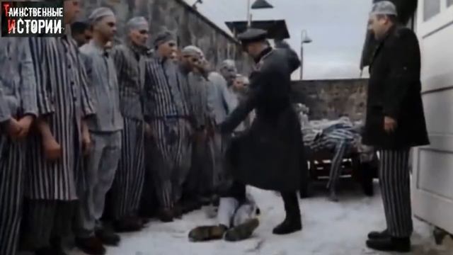 День Победы в нашем ДНК смотреть онлайн