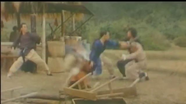 Wu Tang Collection - Crazy Horse & Intelligent Monkey WIDESCREEN смотреть онлайн