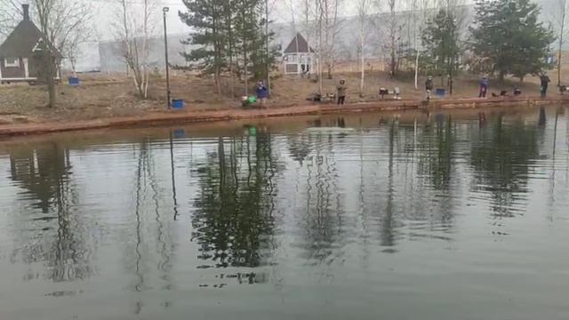 WhatsApp Video 2025-03-27 at 09.53.10 (1) смотреть онлайн