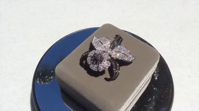 Nolan Miller's Orchid Pin смотреть онлайн