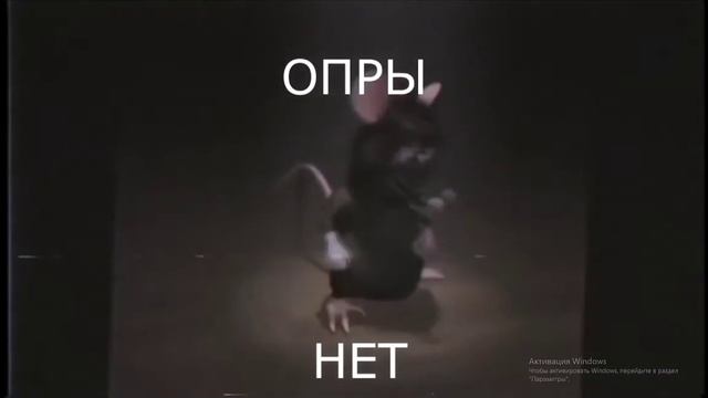 шучу кент смотреть онлайн