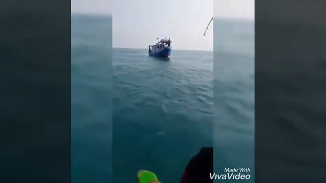 Adu Tarik dengan ikan (BABON) "Trip Mancing Pulau Lancang" смотреть онлайн