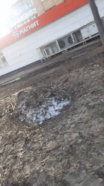 20250327_084259 смотреть онлайн