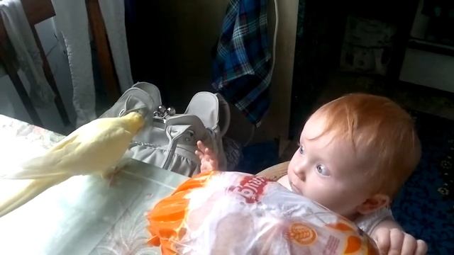 Битва смотреть онлайн