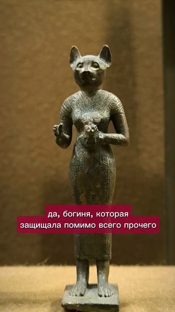 Где искать божечки-кошечки в Эрмитаже? Снимаем в музее без скандала. смотреть онлайн